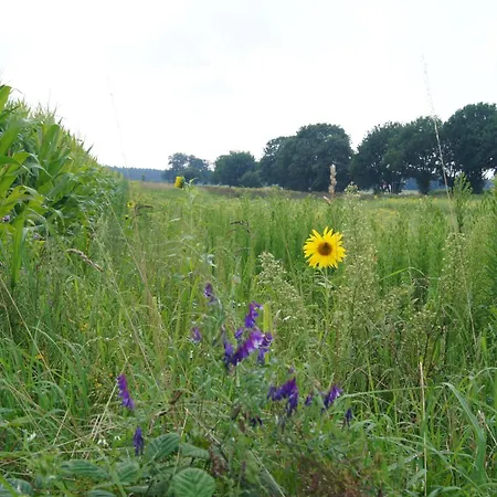 Hoeve Linnerveld Campo de lujo *