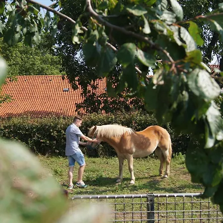 Hoeve Linnerveld Campo de lujo