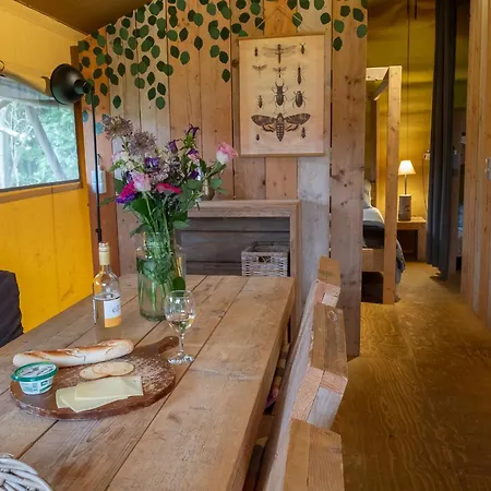 Hoeve Linnerveld Campo de lujo *