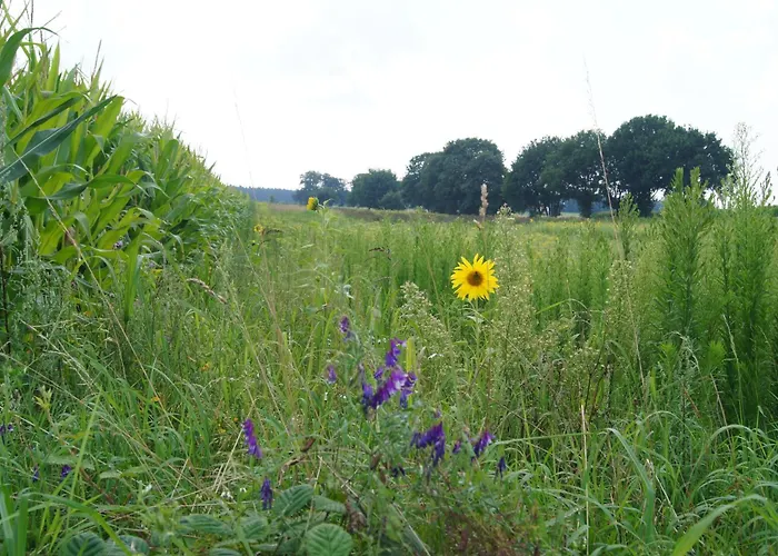 Hoeve Linnerveld خيمة فخمة *
