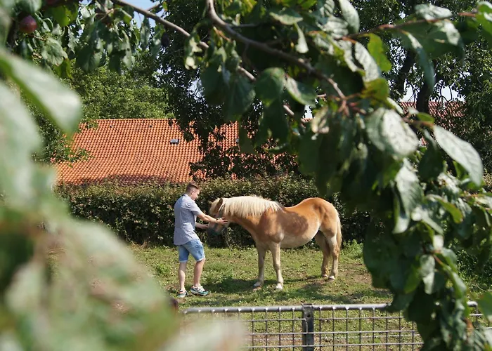 Hoeve Linnerveld Luksusowy namiot