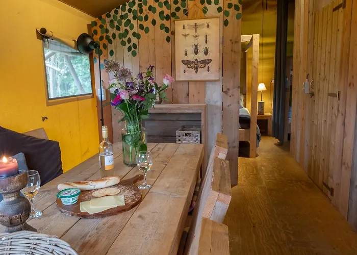 Hoeve Linnerveld Luksusowy namiot *